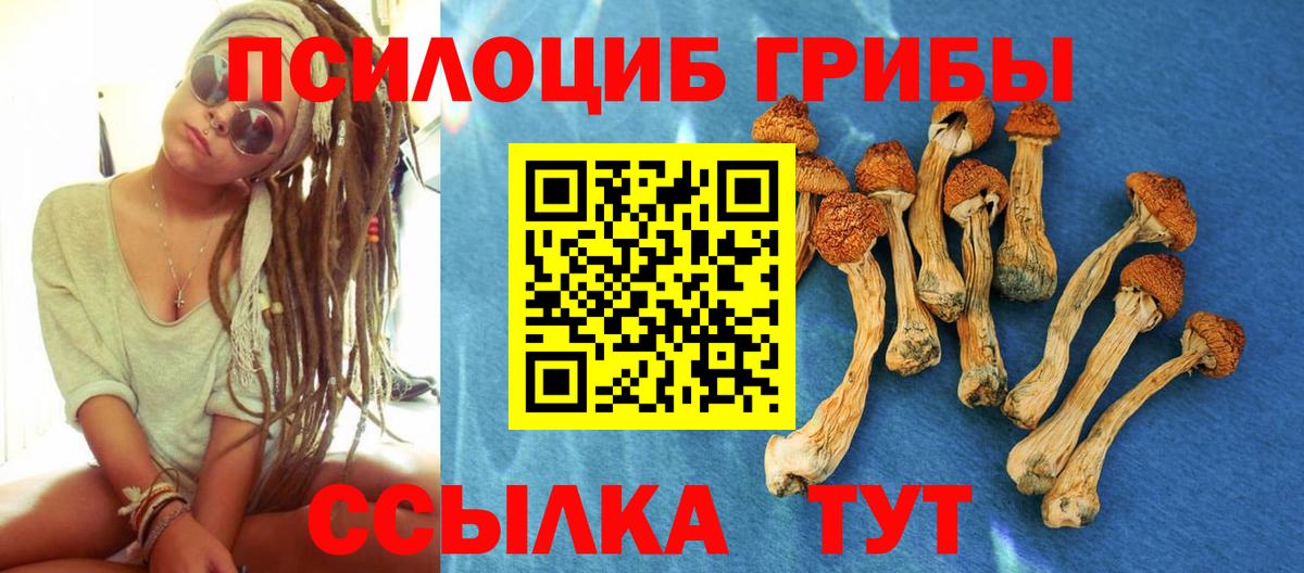 Чехов  Псилоцибиновые грибы Psilocybe  Вход с VPN 