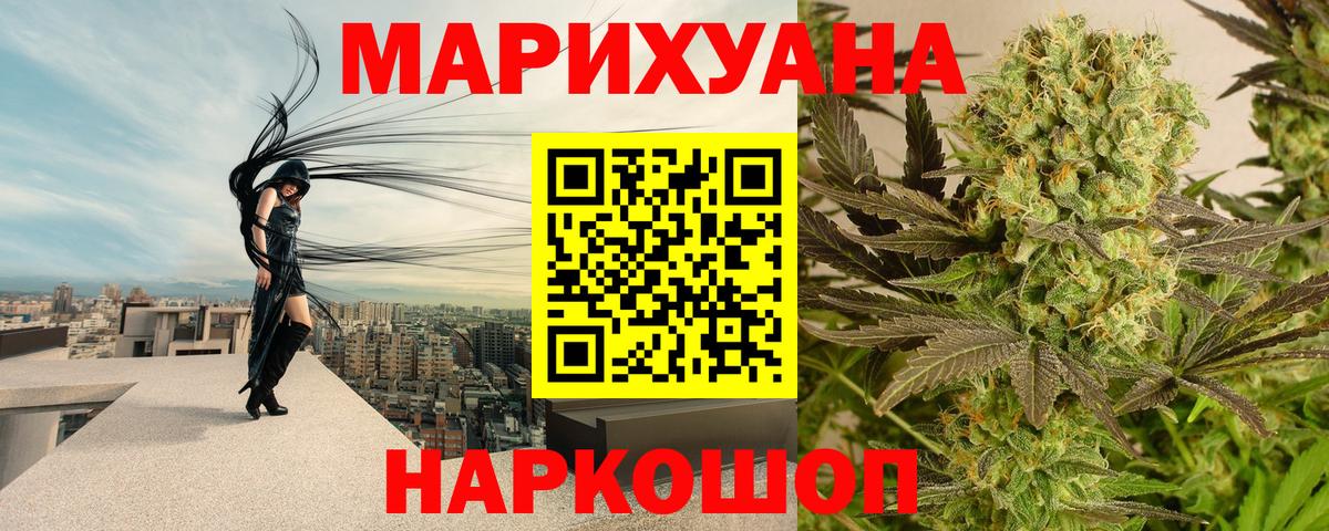 Конопля сатива Чехов